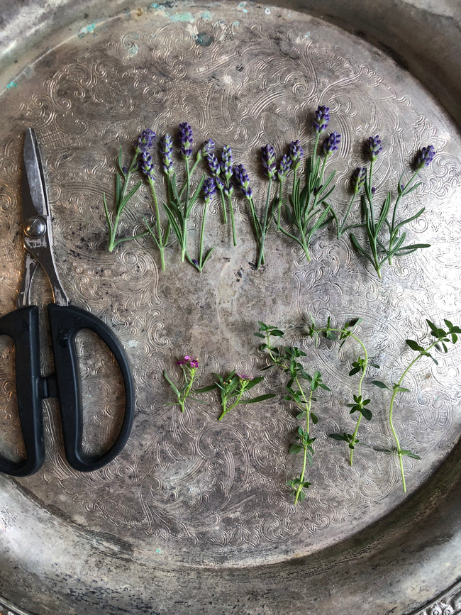 Flower Pressing Tutorial